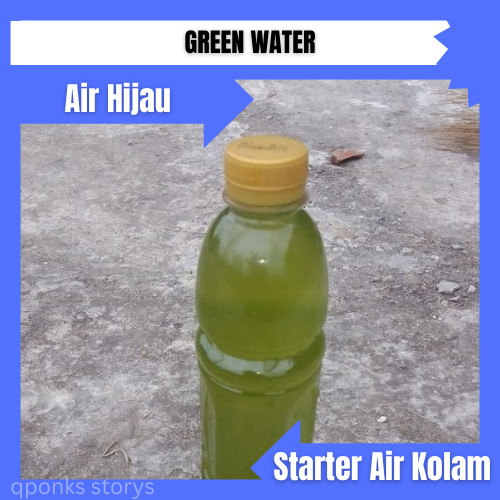 GREEN WATER Air Hijau / Starter Air Kolam / kultur kutu air