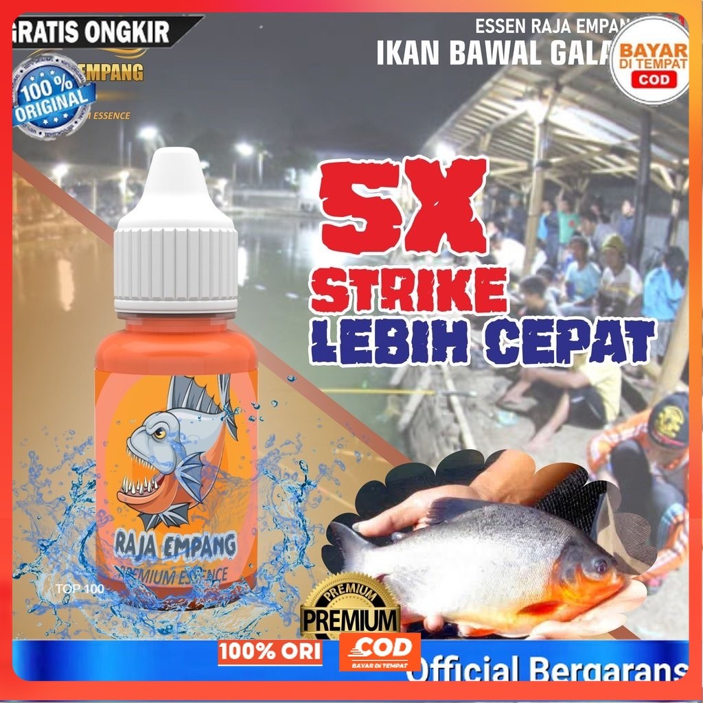 Essen Raja Empang Ikan bawal gacor harian | essen galatama bawal | esen bawal galatama | esen ikan b