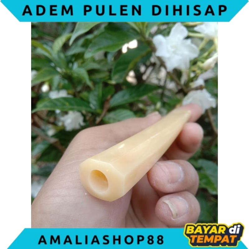 PIPA ONCE TULANG UNTA SUPER ADEM