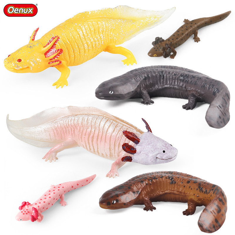 Oenux Amphibians Aquatic Animal Newt Salamander Cryptobranoidea  Animals Model Action Figure Educati