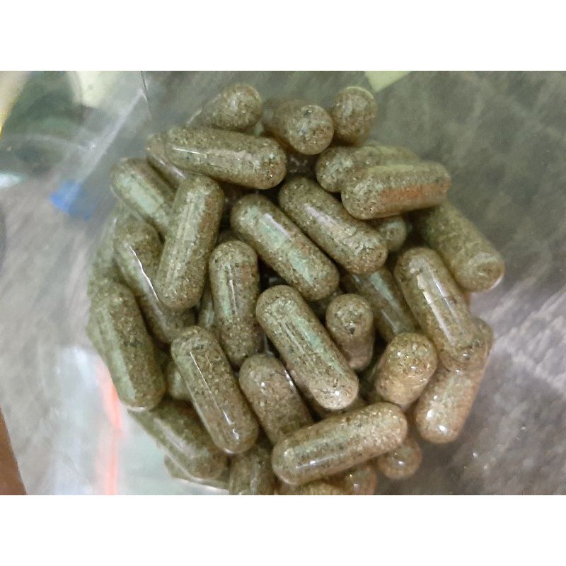 TERLARIS ReadyTelur Kutu Air Moina Macrocopa Untuk Peternakan