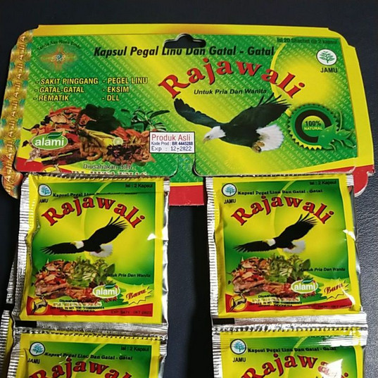 KAPSUL RAJAWALI ORIGINAL 1 HANGER (OBAT ASAM URAT, NYERI SENDI DAN LAINYA)