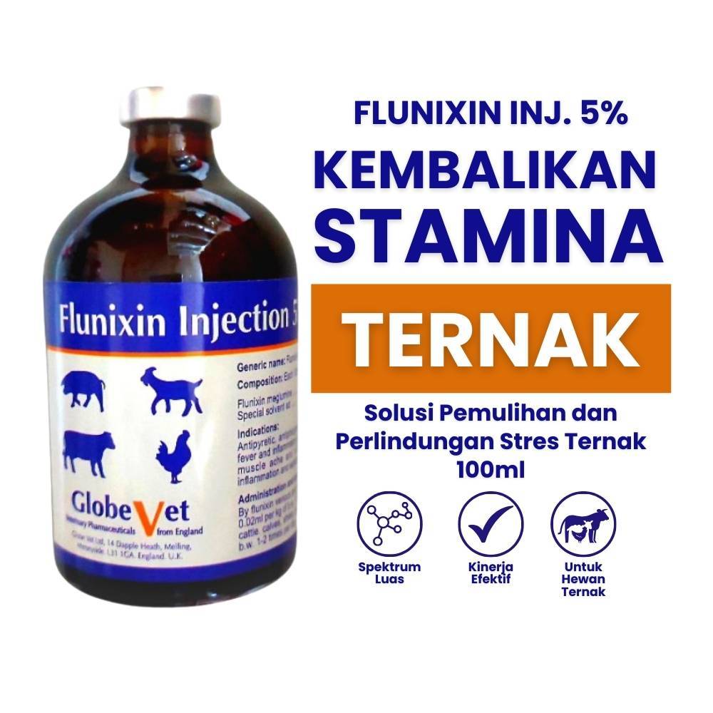 Flunixin Injeksi 100ml Golbal Vet - Anti Inflamasi - Obat injeksi domba sapi kambing