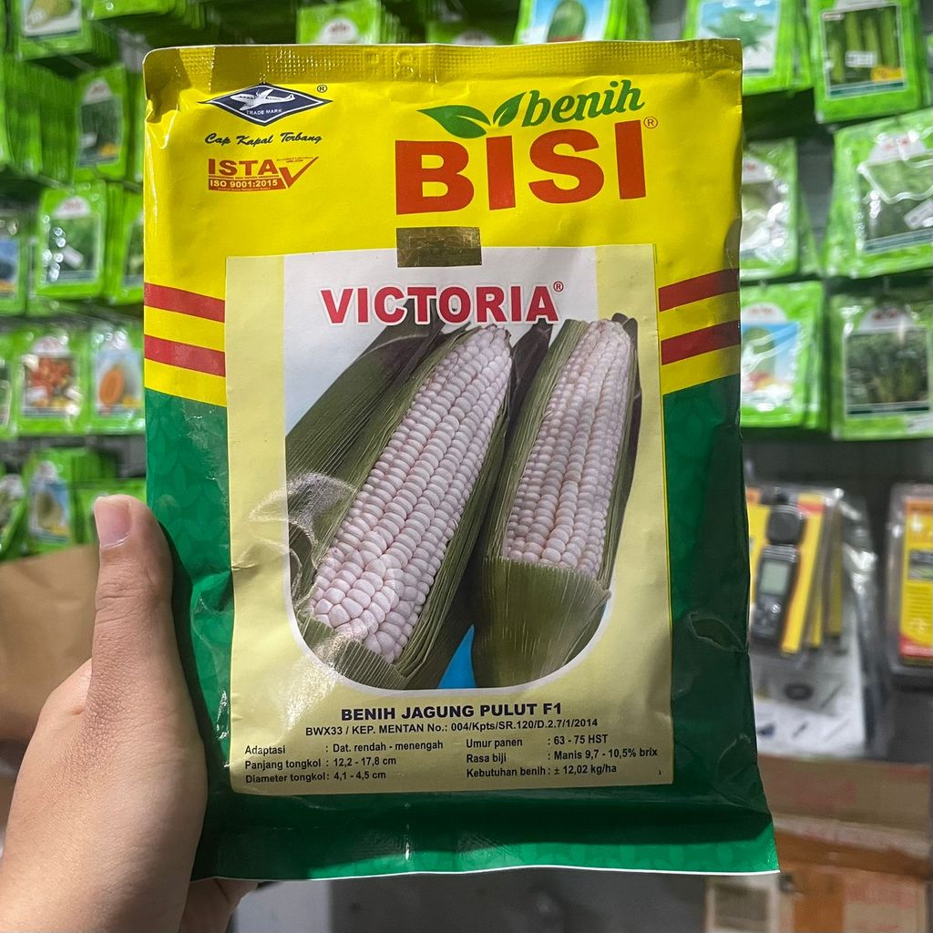Benih Bibit Jagung Pulut Victoria 250gr Ketan Putih Manis Cap Kapal Terbang BISI