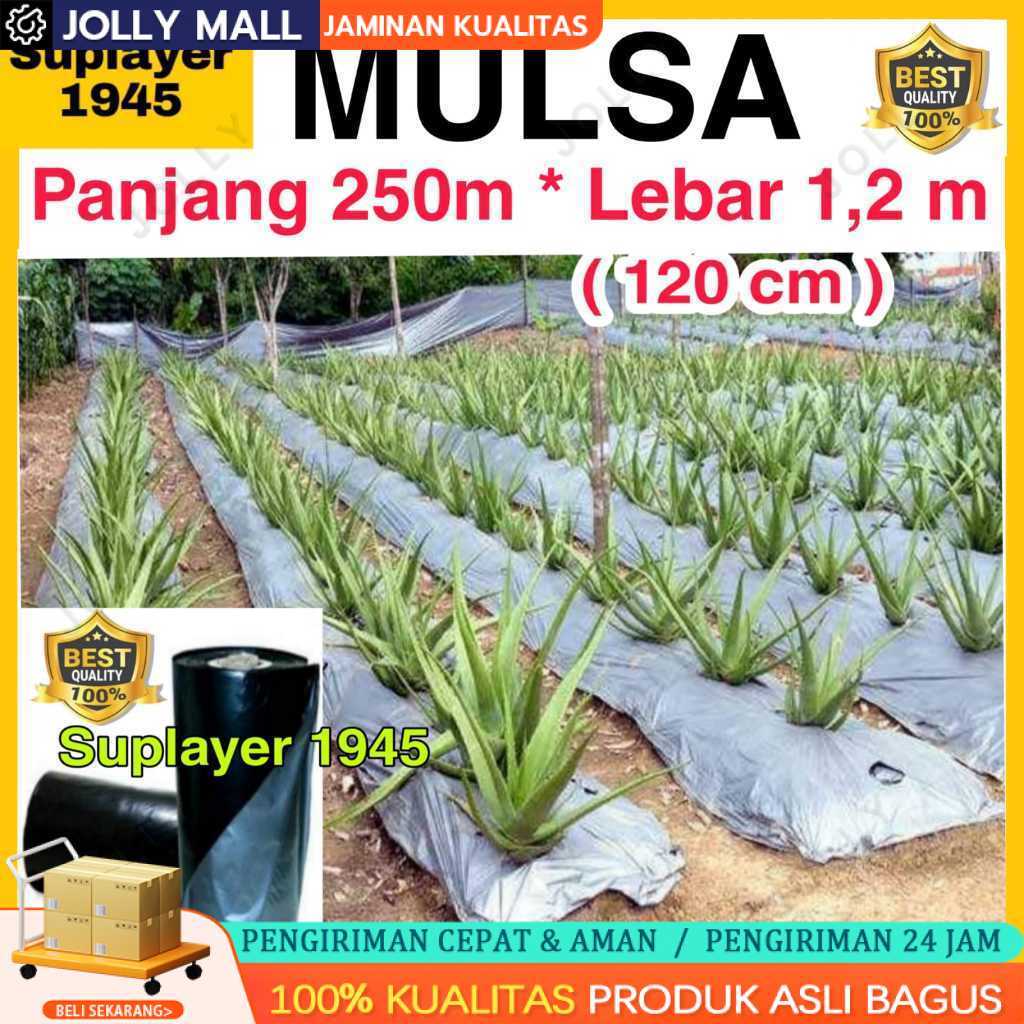 Plastik MULSA 1 ROLL hitam/perak ( Panjang 250 meter x Lebar 1,2 meter ) ROLL