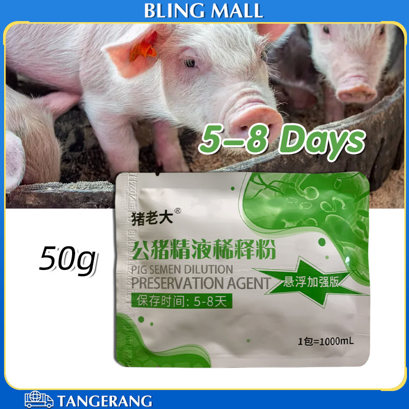 50g Pengencer Sperma Semen Babi 5‑8 Days Long Term Meningkatkan Motilitas Sperma Pada Babi