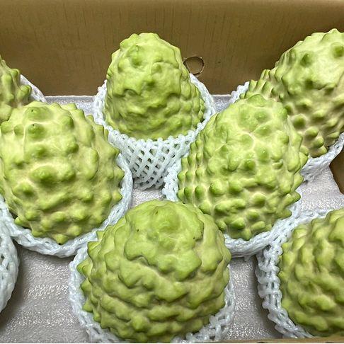 Srikaya import taiwan jumbo 6 kg / 8 pcs