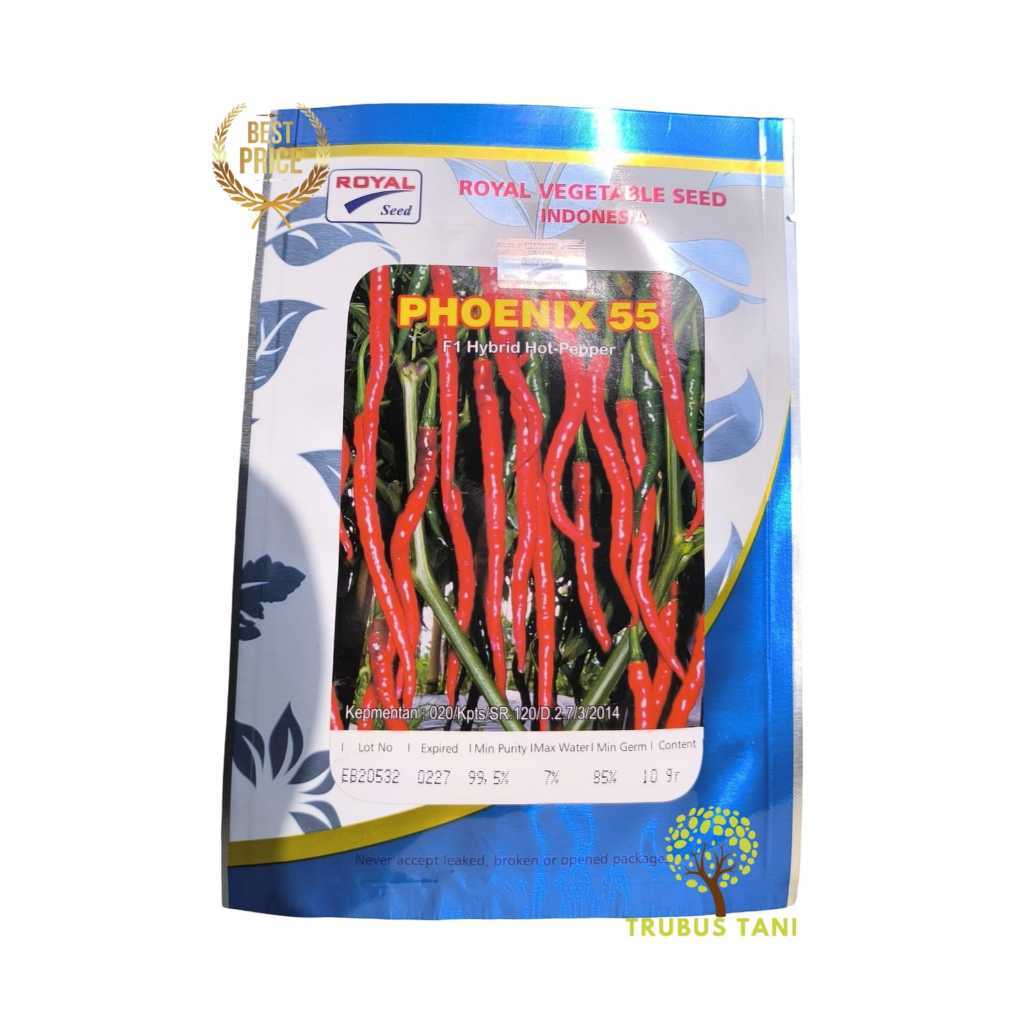 NEW Benih Cabai Phoenix 55/ Bibit cabe Phoenix 55 F1 TERLARIS