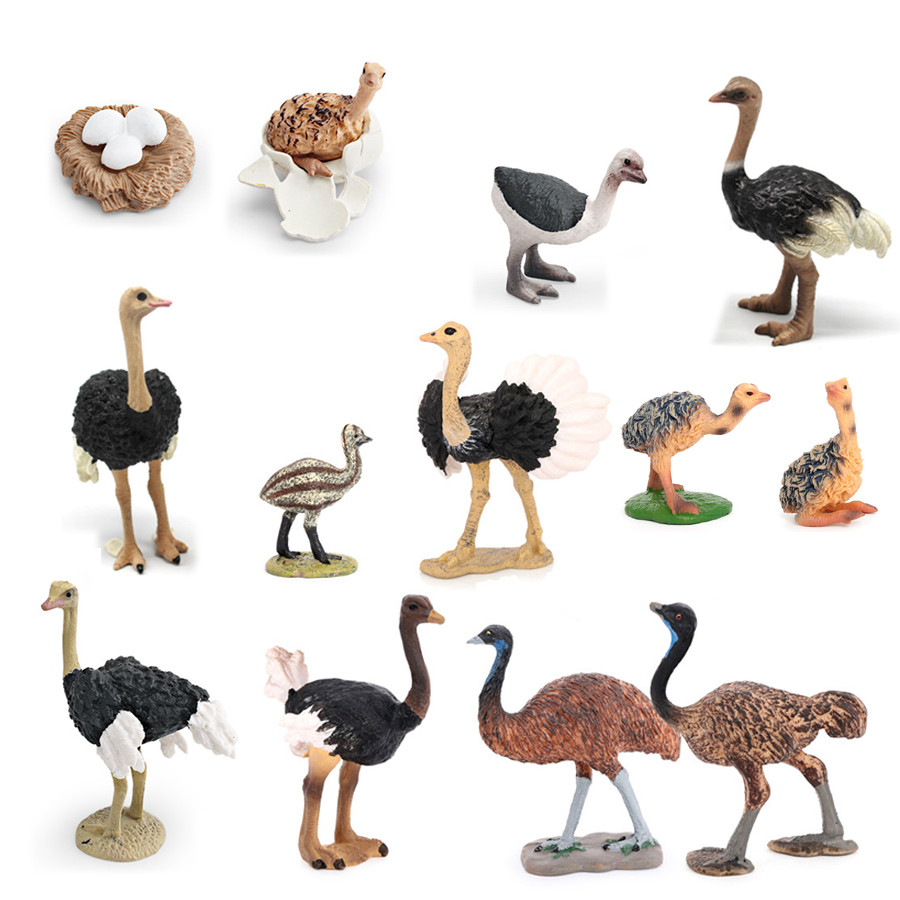 Realistic Emu Ostrich Growth Cycle Action Figure Toys Bird Figurines Animal Playset Educational Mode