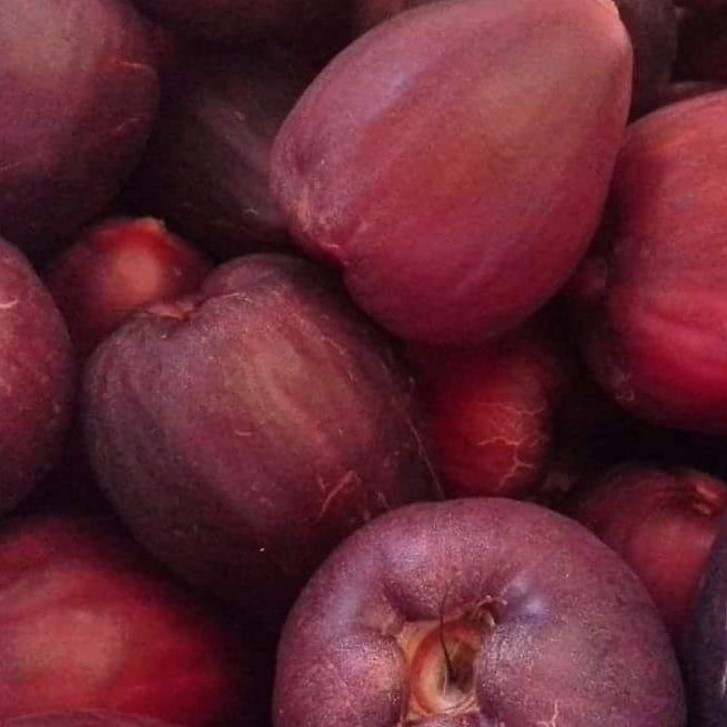 Jambu Bol Jamaika Super Premium 1Kg pengiriman cepat dan aman