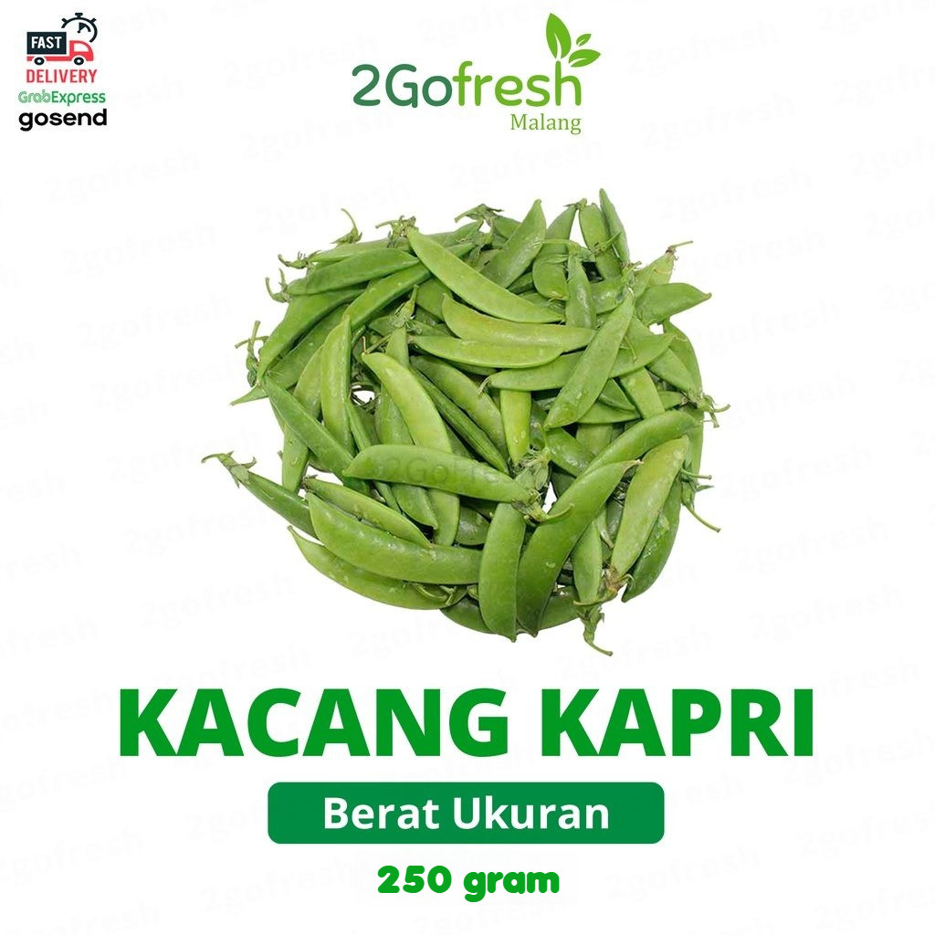 Kacang Kapri/ Ercis/ Arcis Fresh - Sayur Sayuran