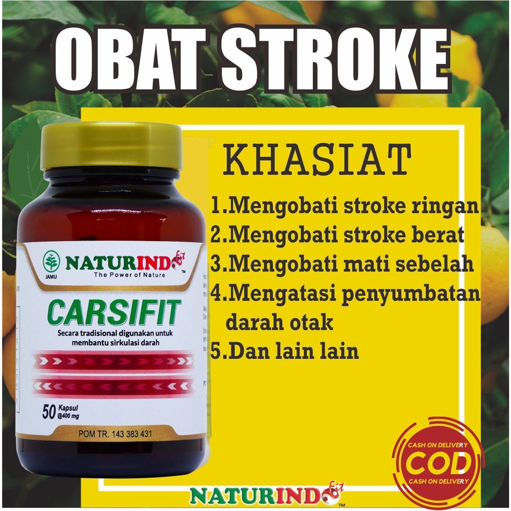 Obat stroke ringan berat mati sebelah gejala struk strok herbal carsifit