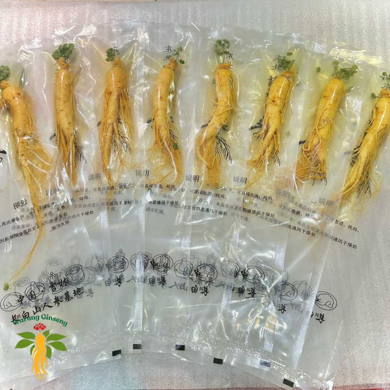 Akar Ginseng Herbal Segar 100gr Vakum | Ginseng Premium Changbai untuk Rendaman / Kesehatan Pria