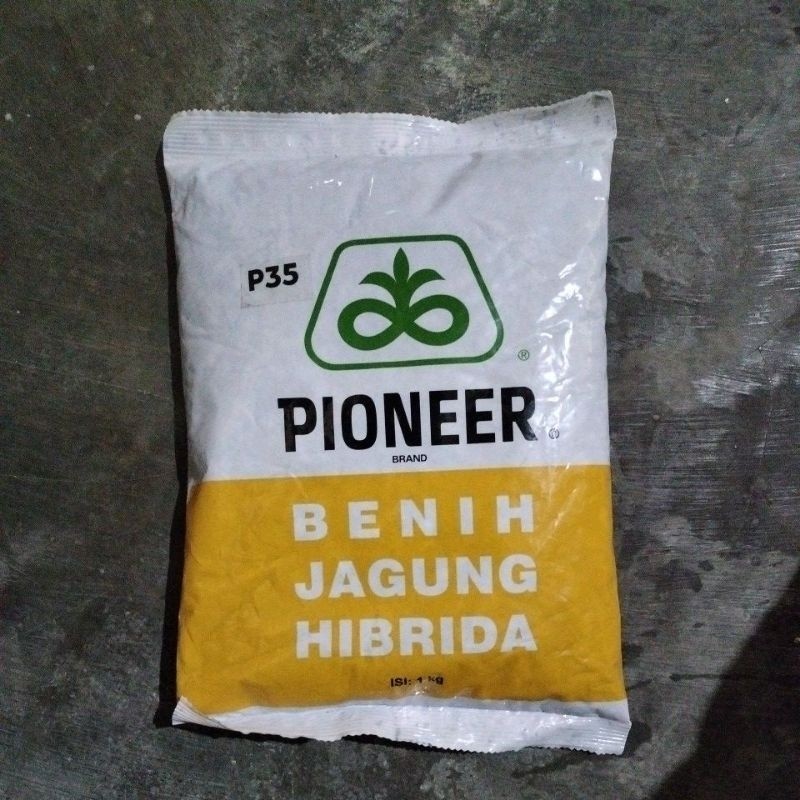 Benih Jagung Hibrida Pioneer P35 1Kg Hasil Bagus