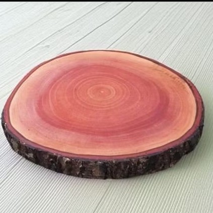 Wood slice potongan kayu mahoni