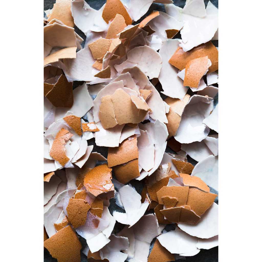 BUbuk Cangkang Telur Ayam Sudah Sterilisasi 500gr Suplemen Tinggi Kalsium