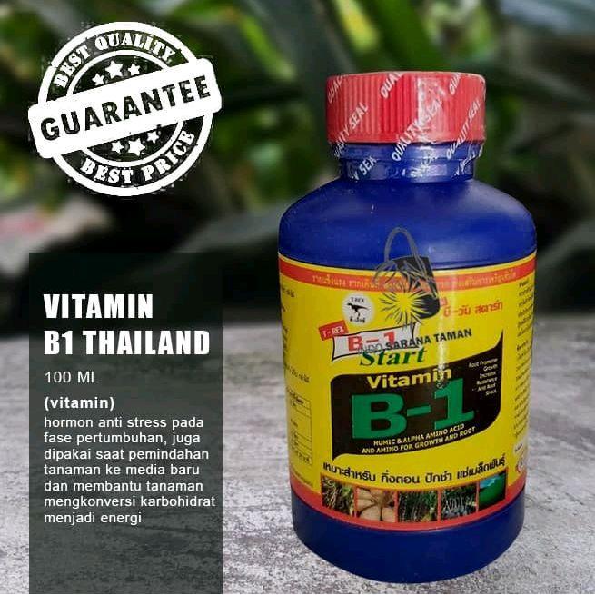 B1 THAILAND 100ml Vitamin Tanaman B1 Thailand KRM VIA GRAB/GOJEK