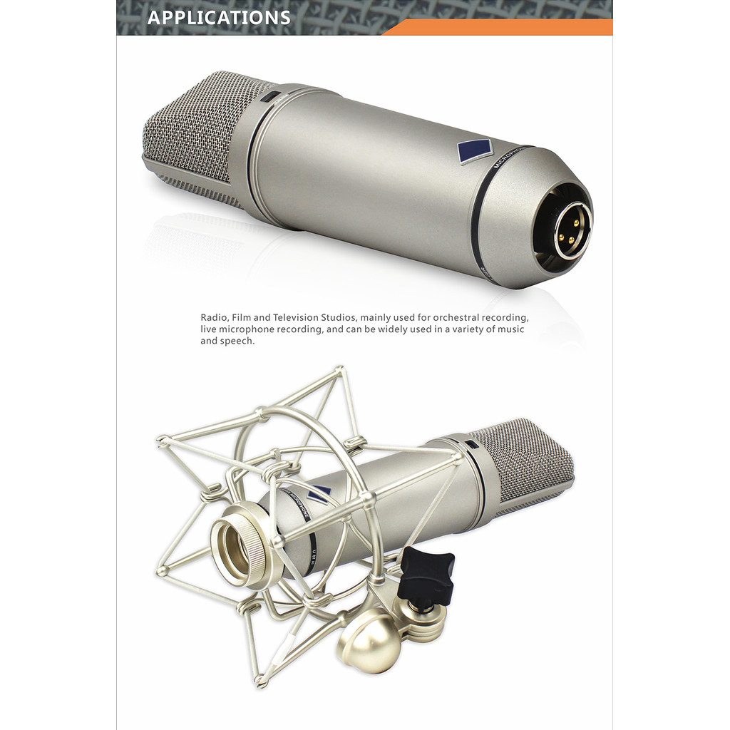 U87AI Top Studio Mic,Condenser,High Quality & Professional Recording Equipment Microphone with Logo
