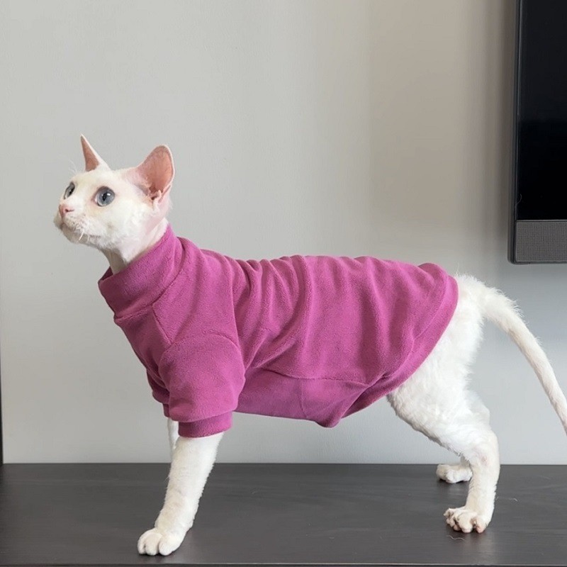 Pakaian kucing Sphynx, kaus lembut elastis untuk kucing tanpa bulu