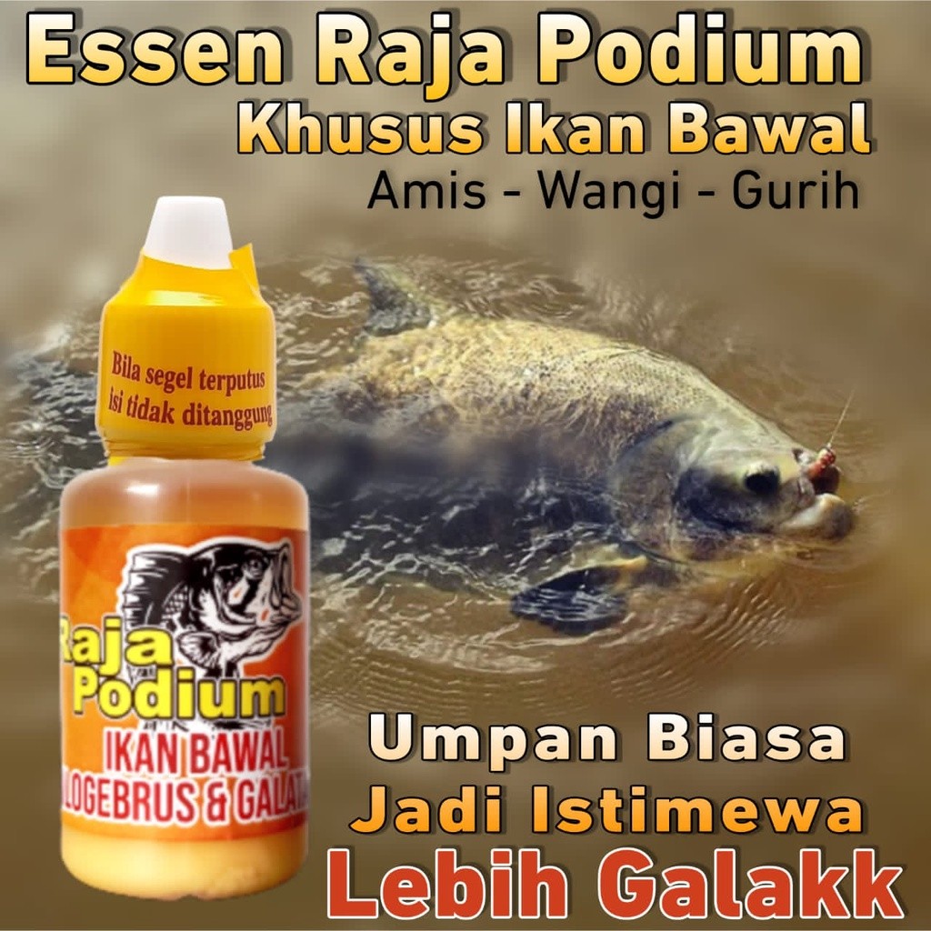 Essen Raja Podium Khusus Ikan Bawal Harian,Aroma Amis Gurih Paling Bagus Buat Mancing Siang Dan Mala