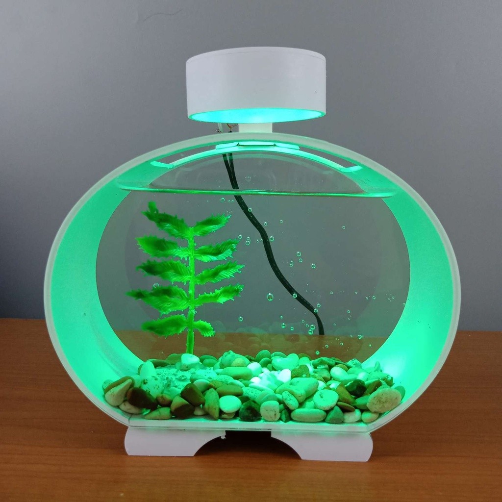 New Aquarium Ikan Cupang Soliter Akrilik Ikan Cupang Aquarium Akrilik Ikan Cupang Aquarium Ikan Cupa