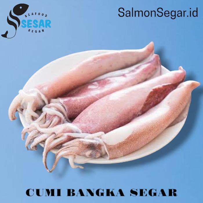 Cumi Bangka Segar 500gr - Cumi Jumbo Segar