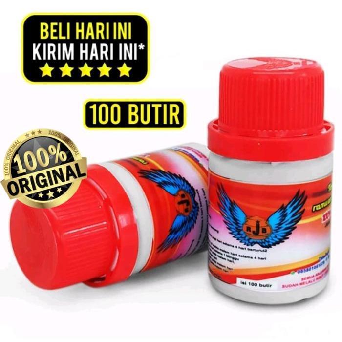 JAMU MERPATI RJB VITAMIN BURUNG DARA KOLONG BALAP TINGGI PIL RJB