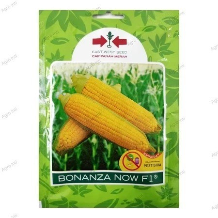 Benih Jagung Manis Bonanza Now F1 1800