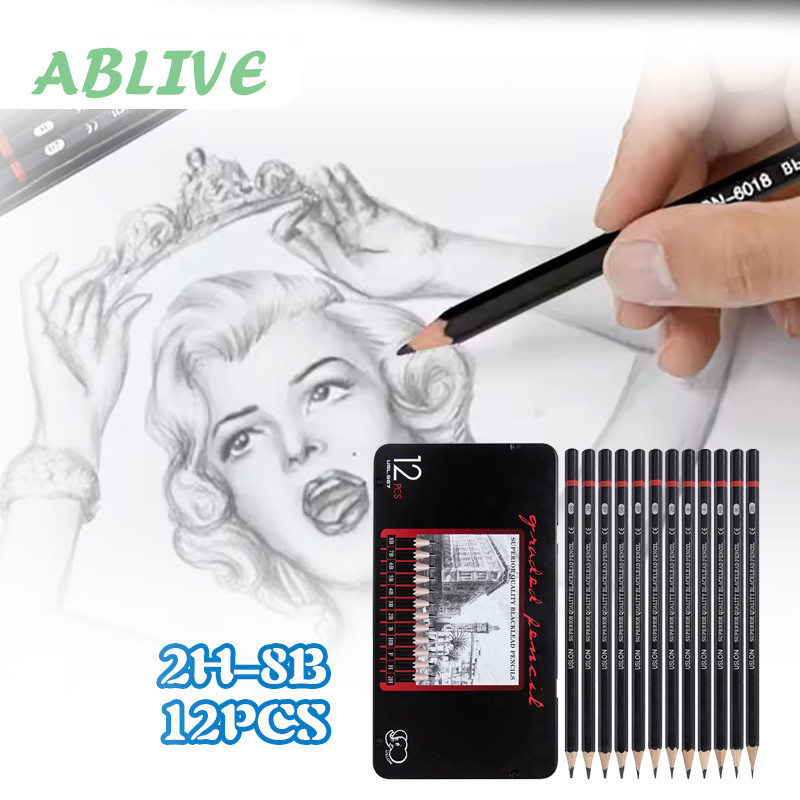 12pcs/Set Pensil Gambar Sketsa Charcoal Pensil Set 2H-8B Pensil Gambar