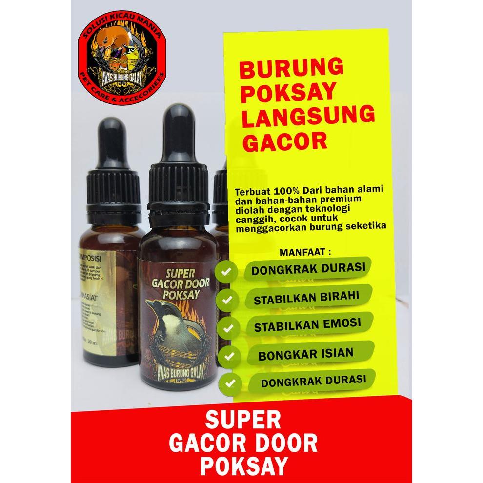 SUPER GACOR DOOR POKSAY PENGGACOR SEKETIKA