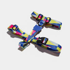 Zee Dog Volt H Harness by Zee Dog - Harness Anjing dengan Ukuran Ekstra Kecil hingga Besar untuk Leh