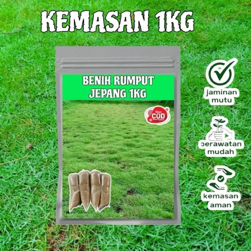 1kg benih rumput jepang - benih rumput asli - benih rumput hidup