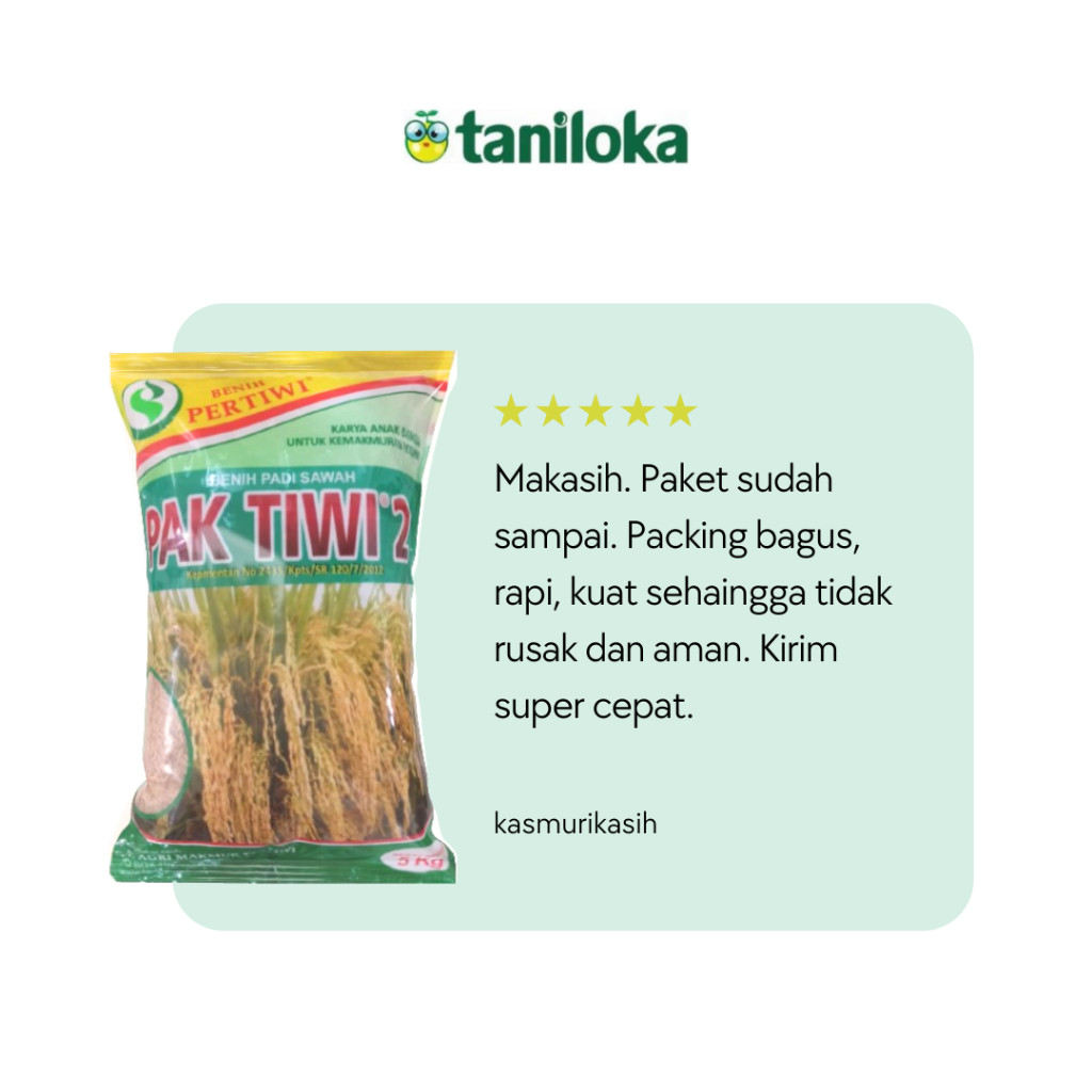 NEW Benih Pertiwi - Benih Padi Pak Tiwi 2 (5 Kg) TERLARIS
