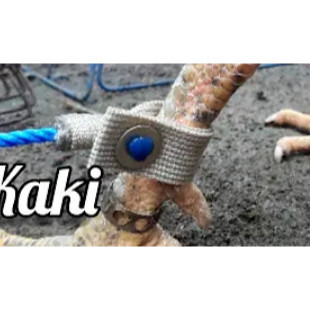 TALI IKAT JEMUR AYAM TALI DADUNG TANPA BESI 1 PCS IKAT KAKI AYAM JEMUR DAN UMBAR AYAM JAGO