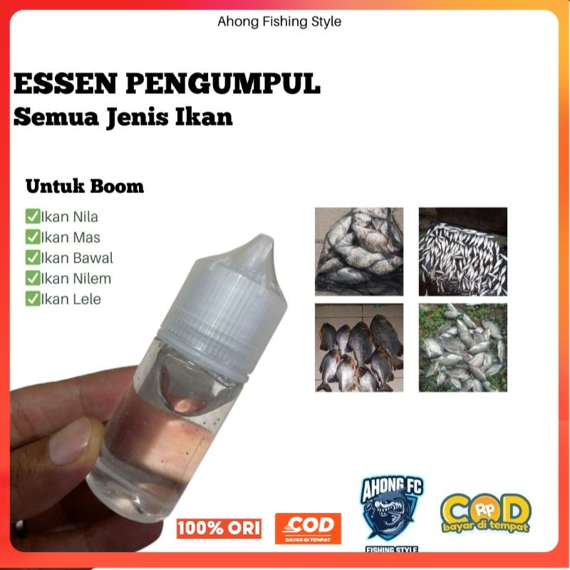 Essen Pengumpul Ikan Di Lapak Essen Pengumpul Semua Jenis Ikan Essen Pengumpul Ikan Mas Nila Bawal L