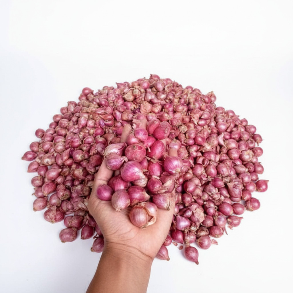 BAWANG MERAH LOKAL BREBES KERING, FRESH LANGSUNG DARI PETANI