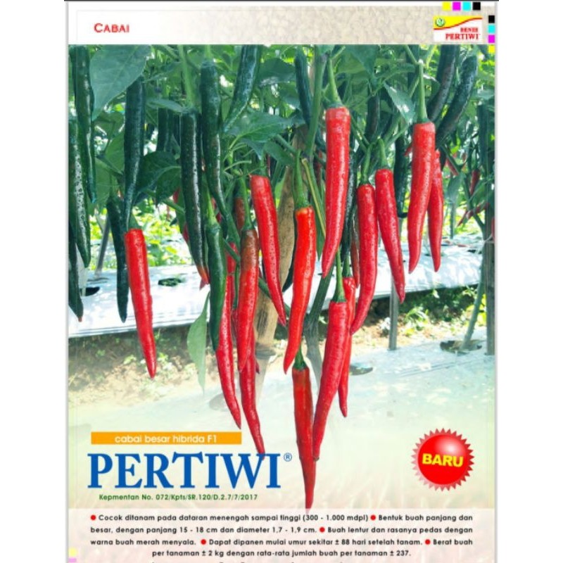 Promo_ Benih cabe besar hibrida F1 pertiwi kemasan 10 gram Terlaris