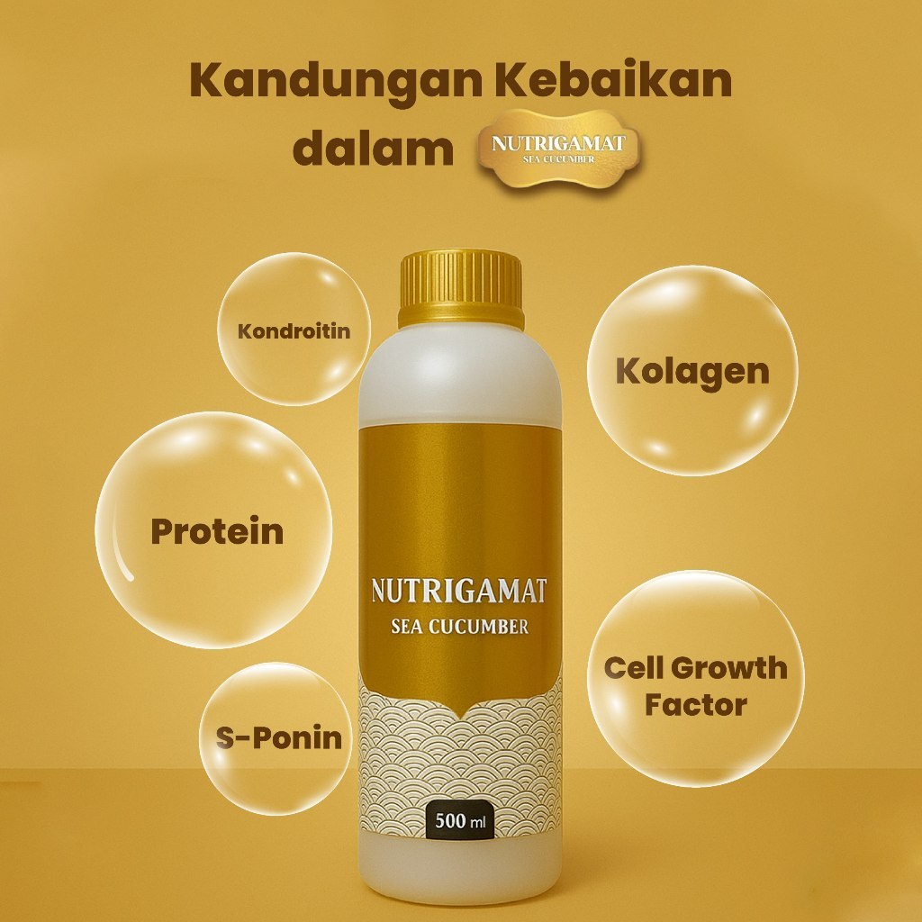 Nutrigamat Gamat 500 ml Cair BPOM |  Herbal Teripang Emas Asli | Penjaga Daya Tahan Tubuh