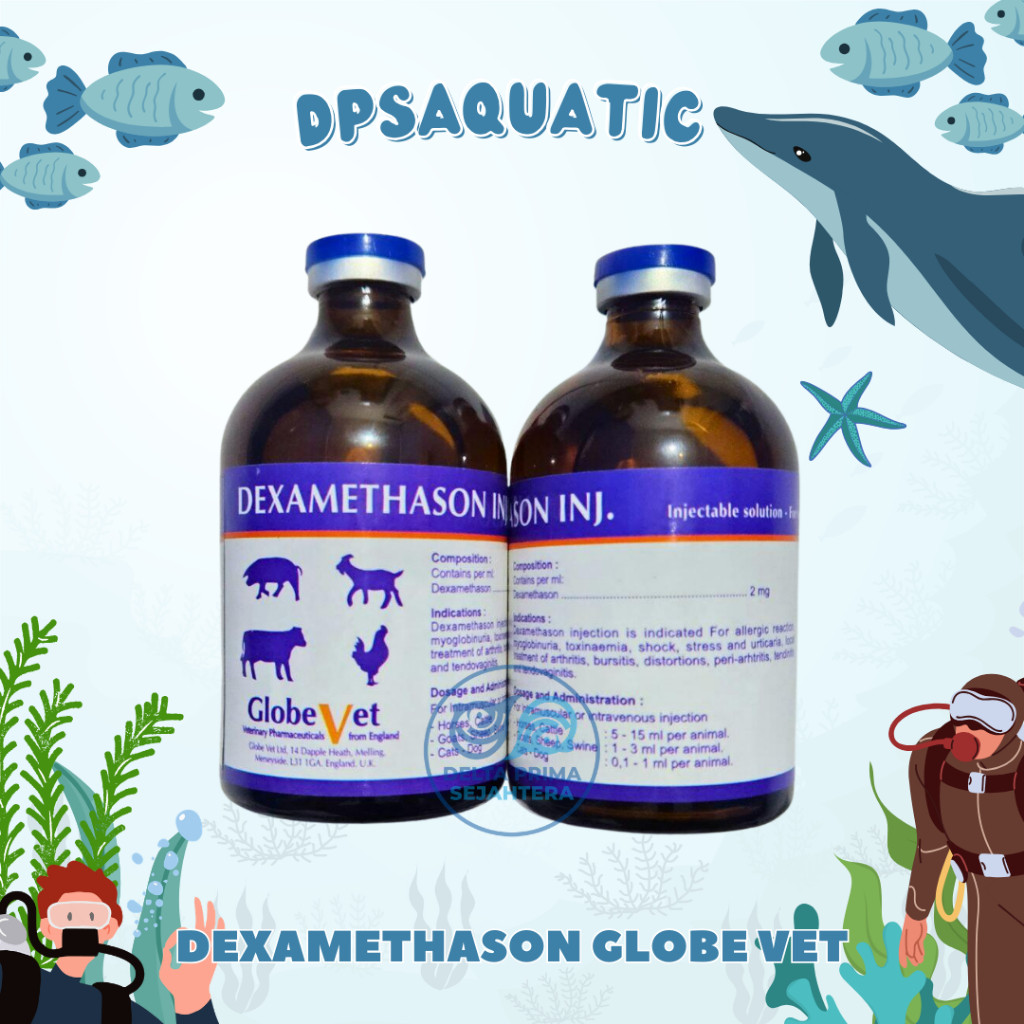DEXAMETHASON GLOBE VET 100 ml - DEXAMETHASON PANTEX HOLLAND