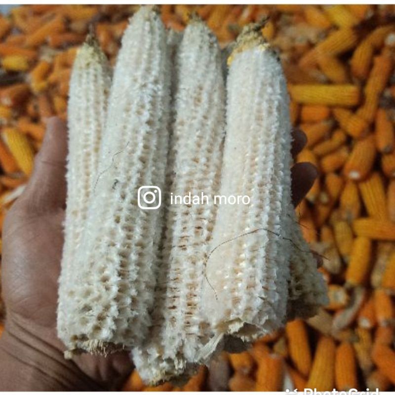 Tongkol Jagung 1Kg.BONGGOL JANGGEL JAGUNG Kering Limbah Jagung Partai Besar Lebih Murah.