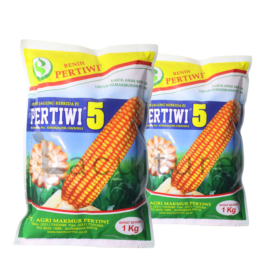 Benih jagung Hibrida F1 PERTIWI 5 Isi 1 Kg Cap Benih Pertiwi