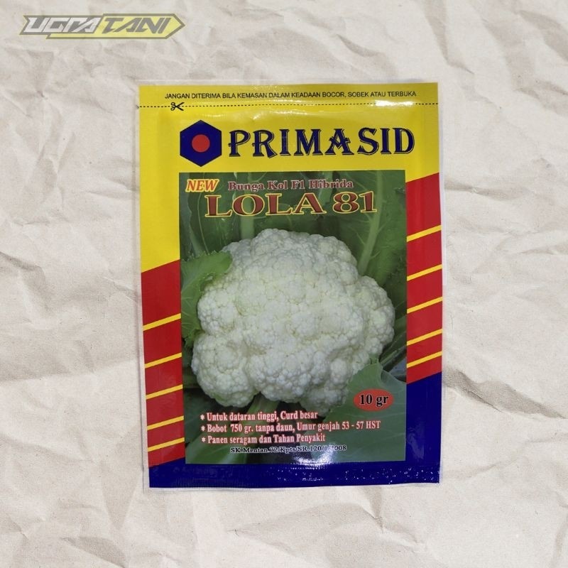 JAMIN MURAH Benih Bibit Bunga KOL Kembang KOL NEW LOLA 81 Isi 10 Gram(BISA LANGSUNG ORDER)