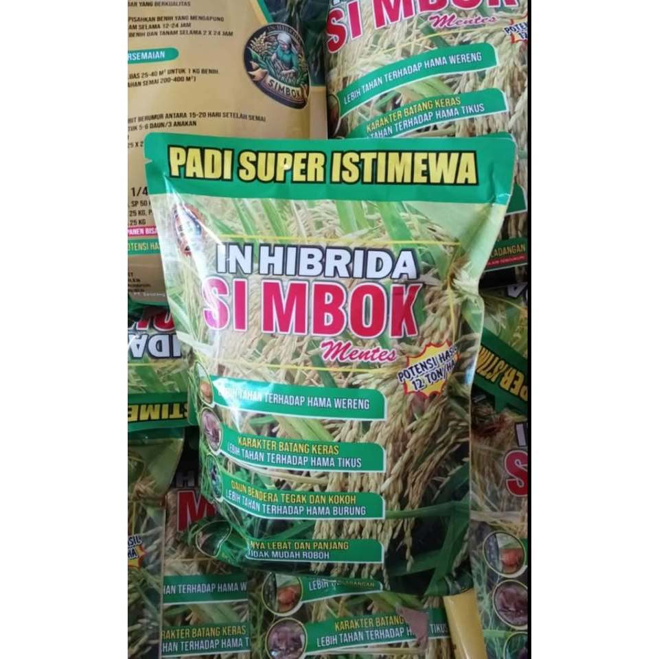 Benih padi unggul simbok umur pendek ORIGINAL 1kg usia 85-90 Hst exp 0626 varietas padi unggul simbo