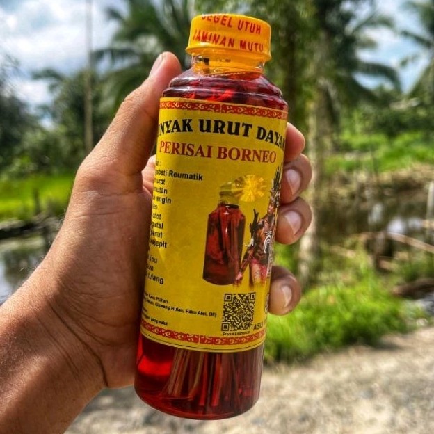 Minyak Urut Dayak Perisai Borneo 250 Ml Herbal