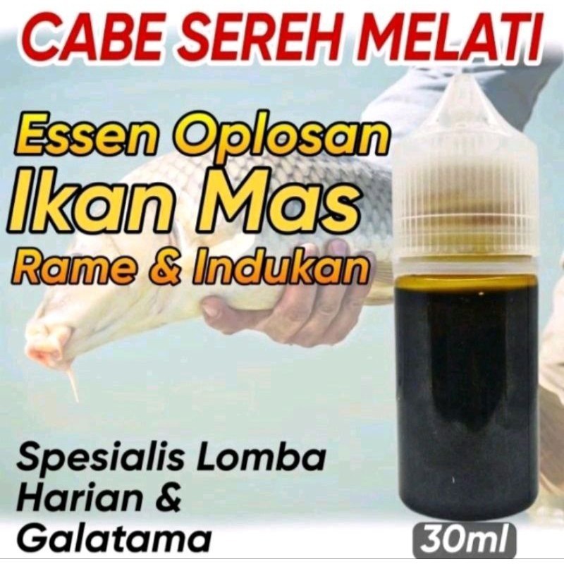 Essen Oplosan Cabe Sereh Melati Paling Gacor Khusus Ikan Mas Babon & Rame, Essen Ikan Mas