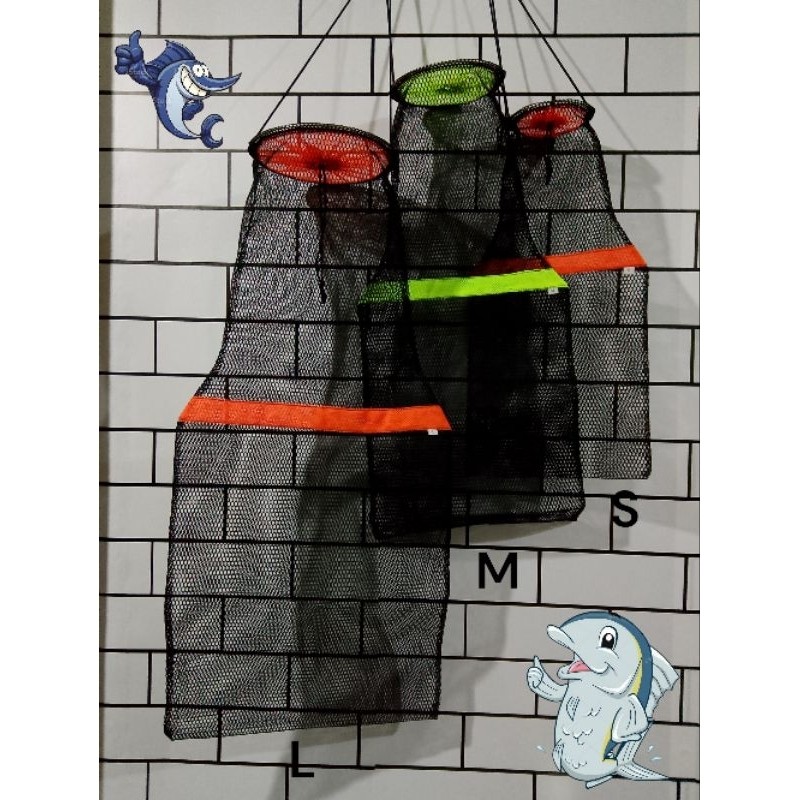 Koja ikan nila berbagai ukuran, Korang ikan model serut warna terbaru