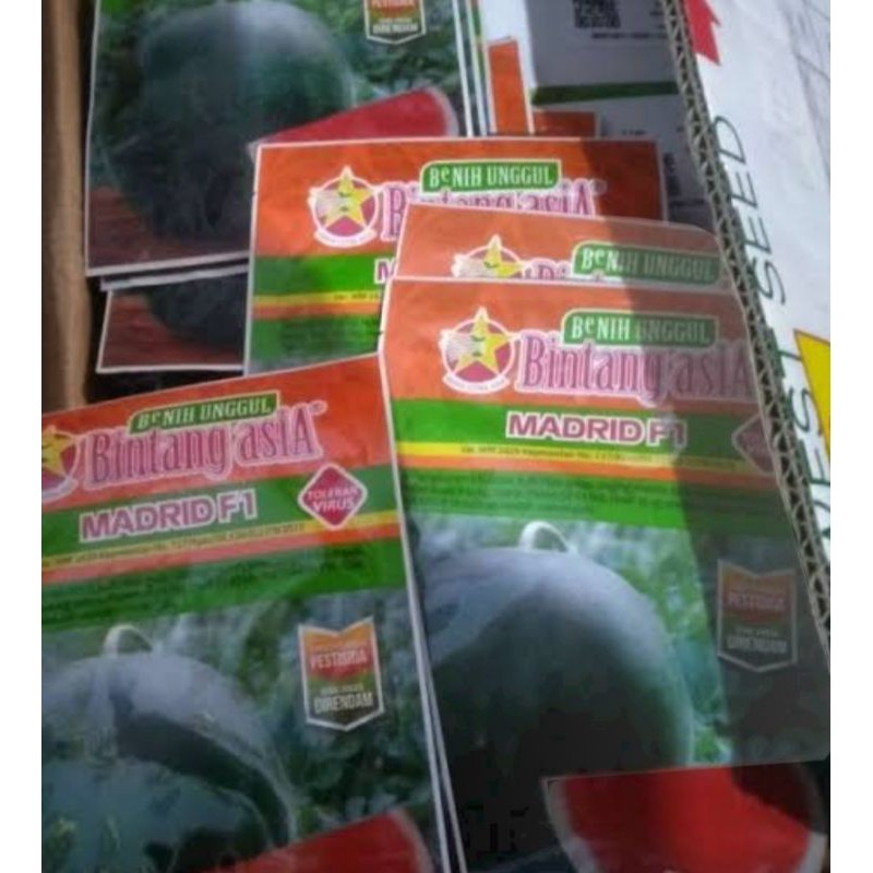 bibit semangka non biji madrid F1 bintang asia