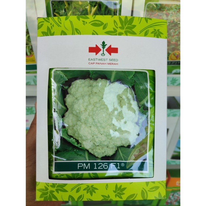 NEW Benih Kembang Kol PM 126 F1 (10 Gram) - Bibit Bunga Cap Panah Merah TERLARIS