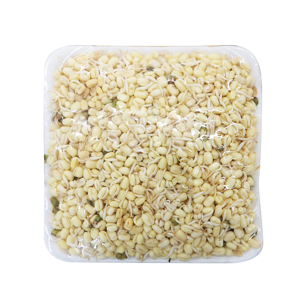 TAUGE PENDEK PAK 200G