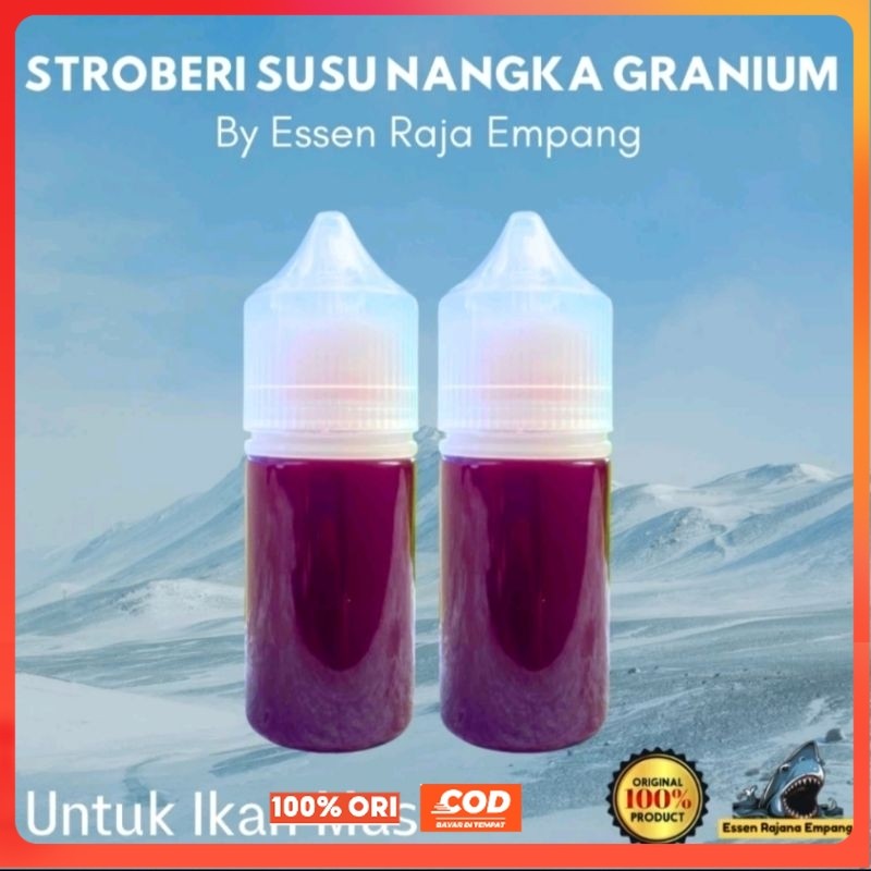 Essen ikan mas Aroma Stroberi Susu Nangka Geranium paling bagus untuk lomba galatama dan harian, ess